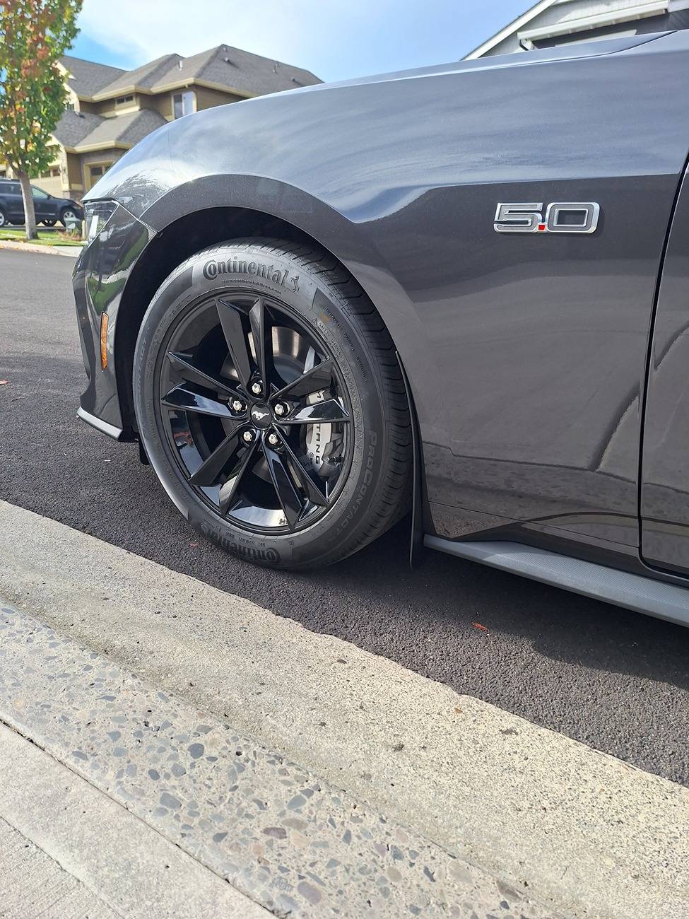 S650 Mustang Installed 4) ZL1 S650 Delux Rock Guards - Photos 20241011_151238