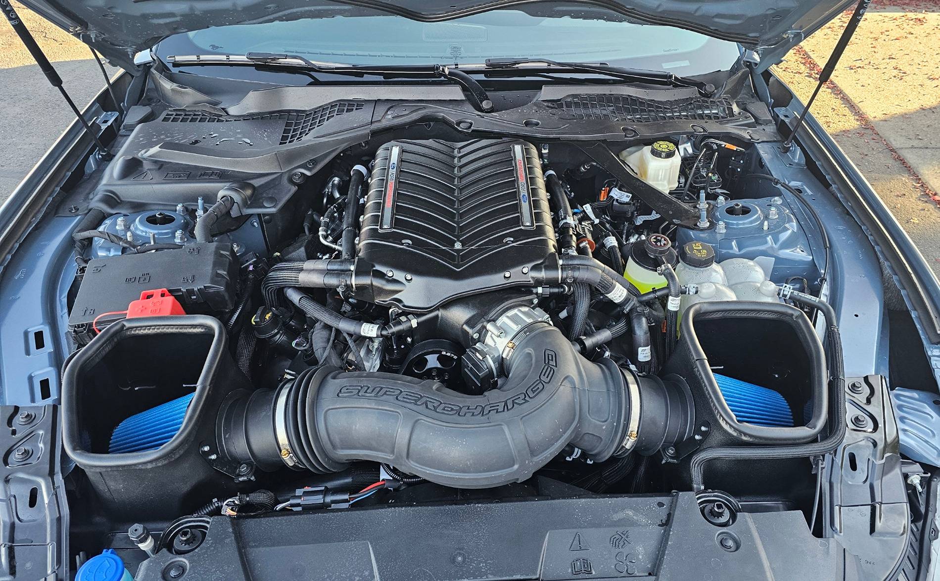 S650 Mustang Three weeks after purchase with 170 miles on the odometer, She is Supercharged! 20241014_174448_1732141444852.jpe