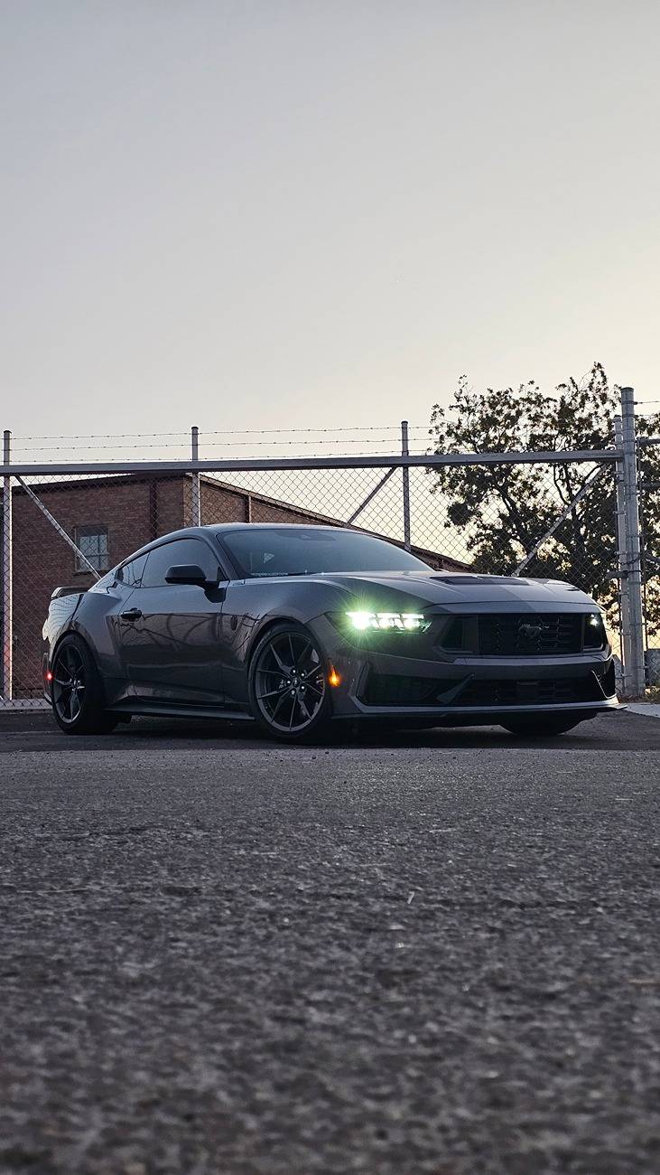 S650 Mustang Official CARBONIZED GRAY Mustang S650 Thread 20241014_191312