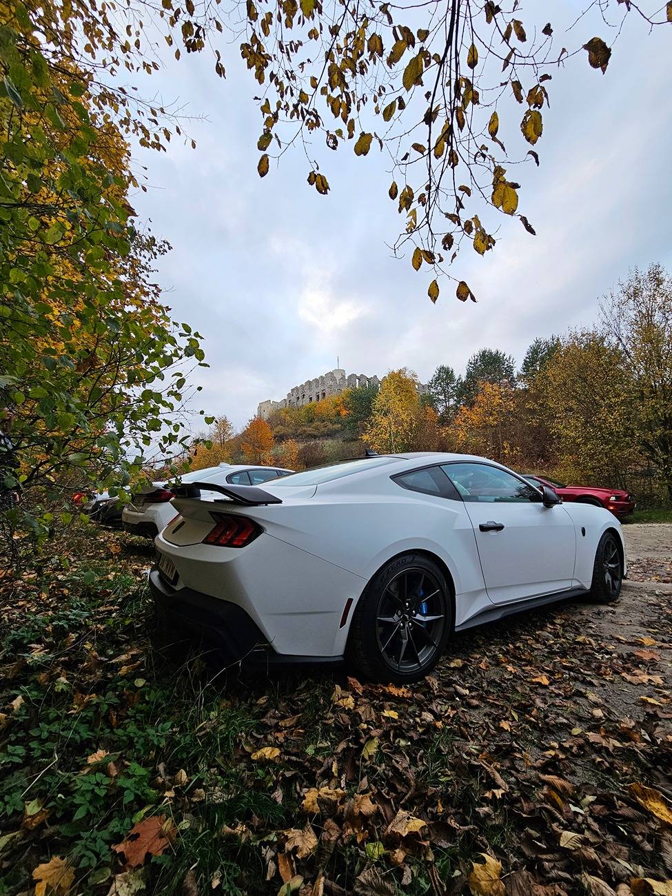 S650 Mustang Nice Rear End (Picture Thread) 20241026_165115