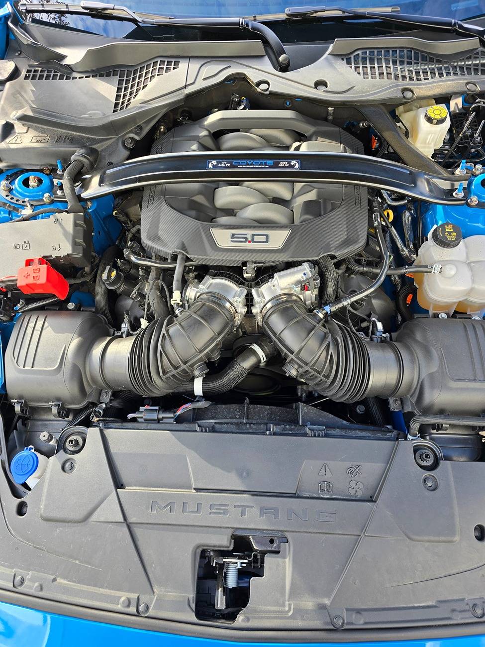 S650 Mustang My twin found me -- 2024 GT Grabber Blue 20241207_091743