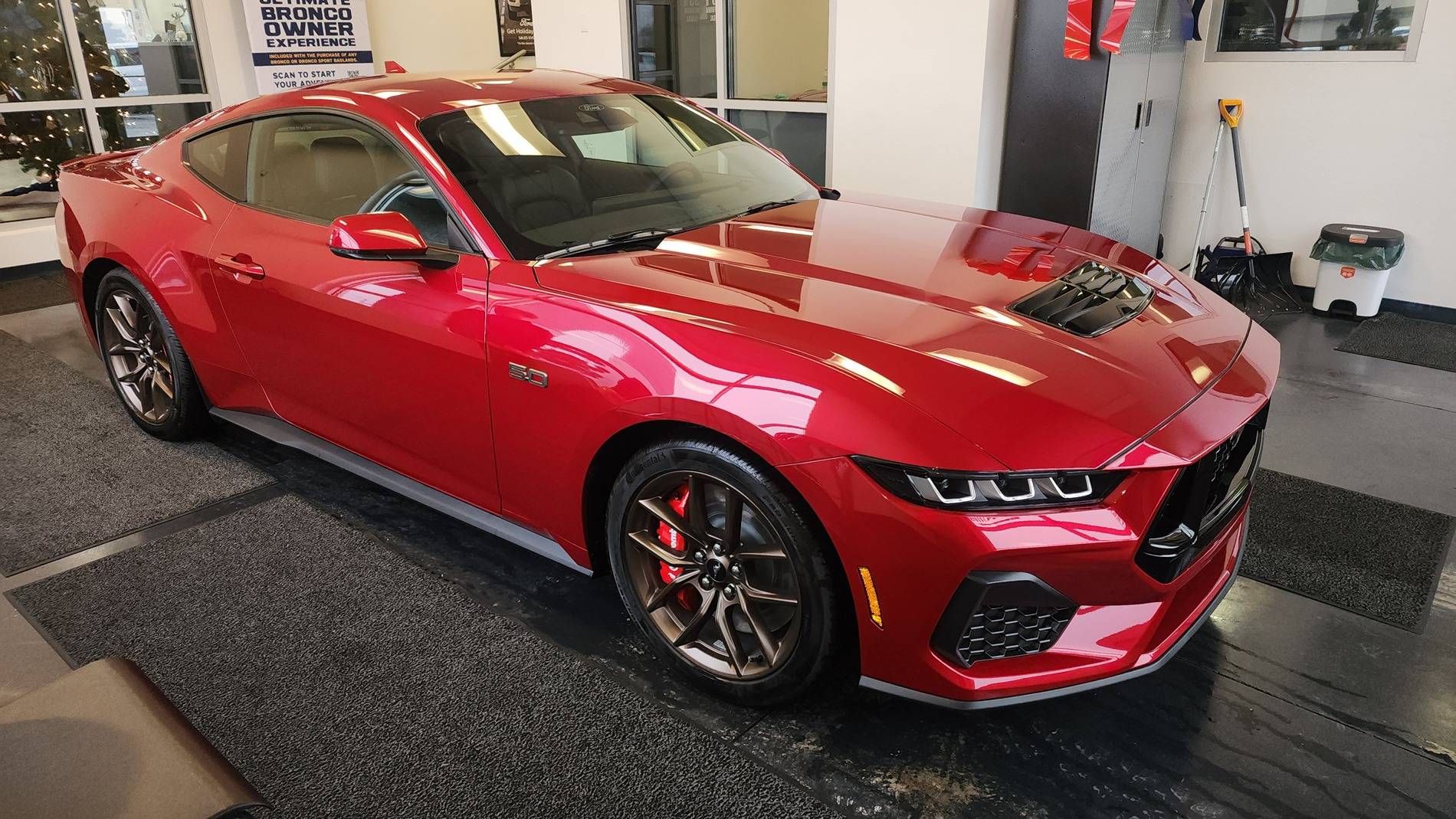 S650 Mustang Introductions & Welcome Thread 👋 20241214_131649