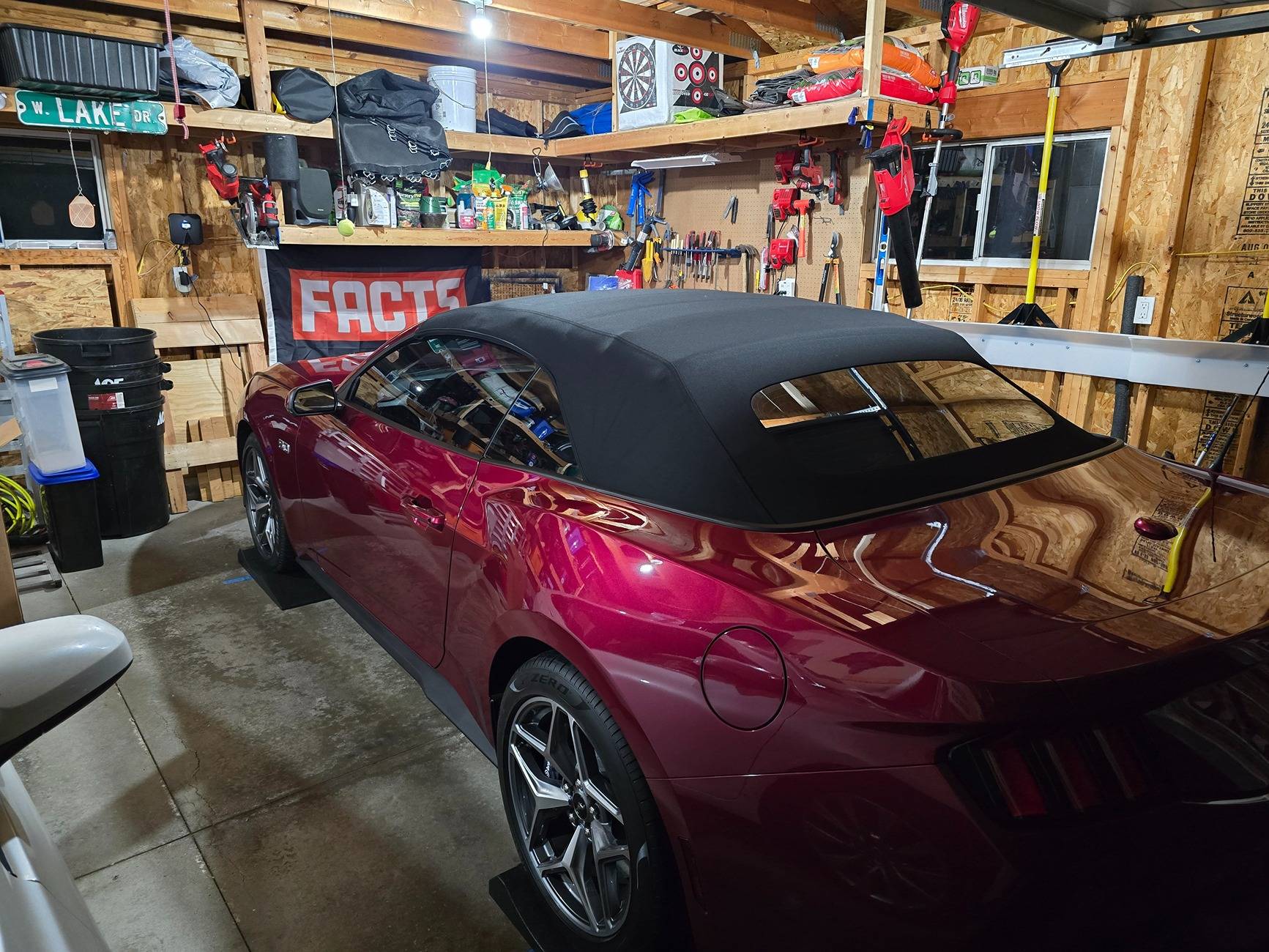S650 Mustang Any Molten Magenta cars spotted yet? 20241215_172734