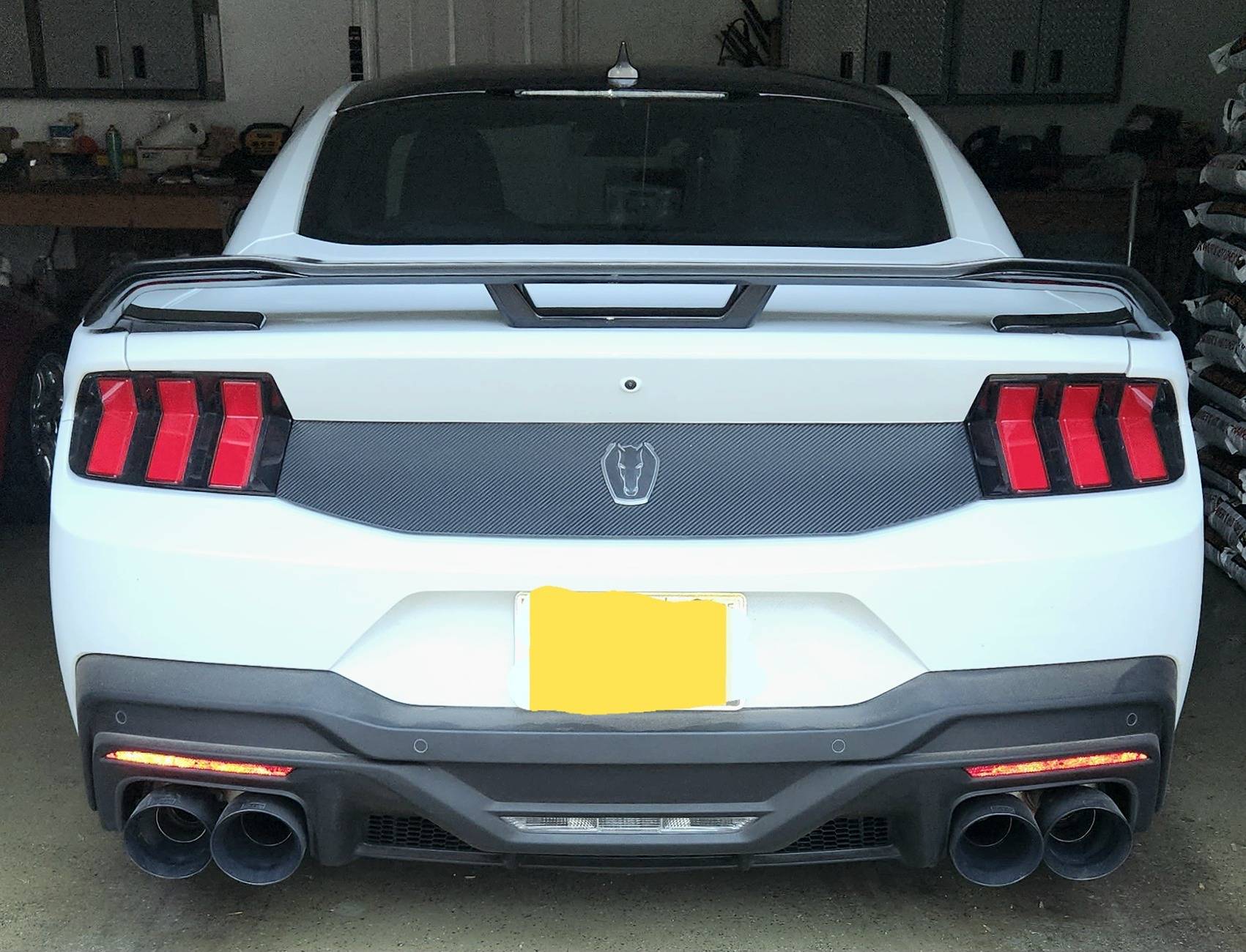 S650 Mustang My New Dark Horse! 20241231_180220