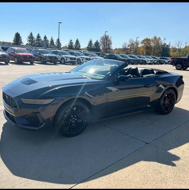 2024GT.jpg