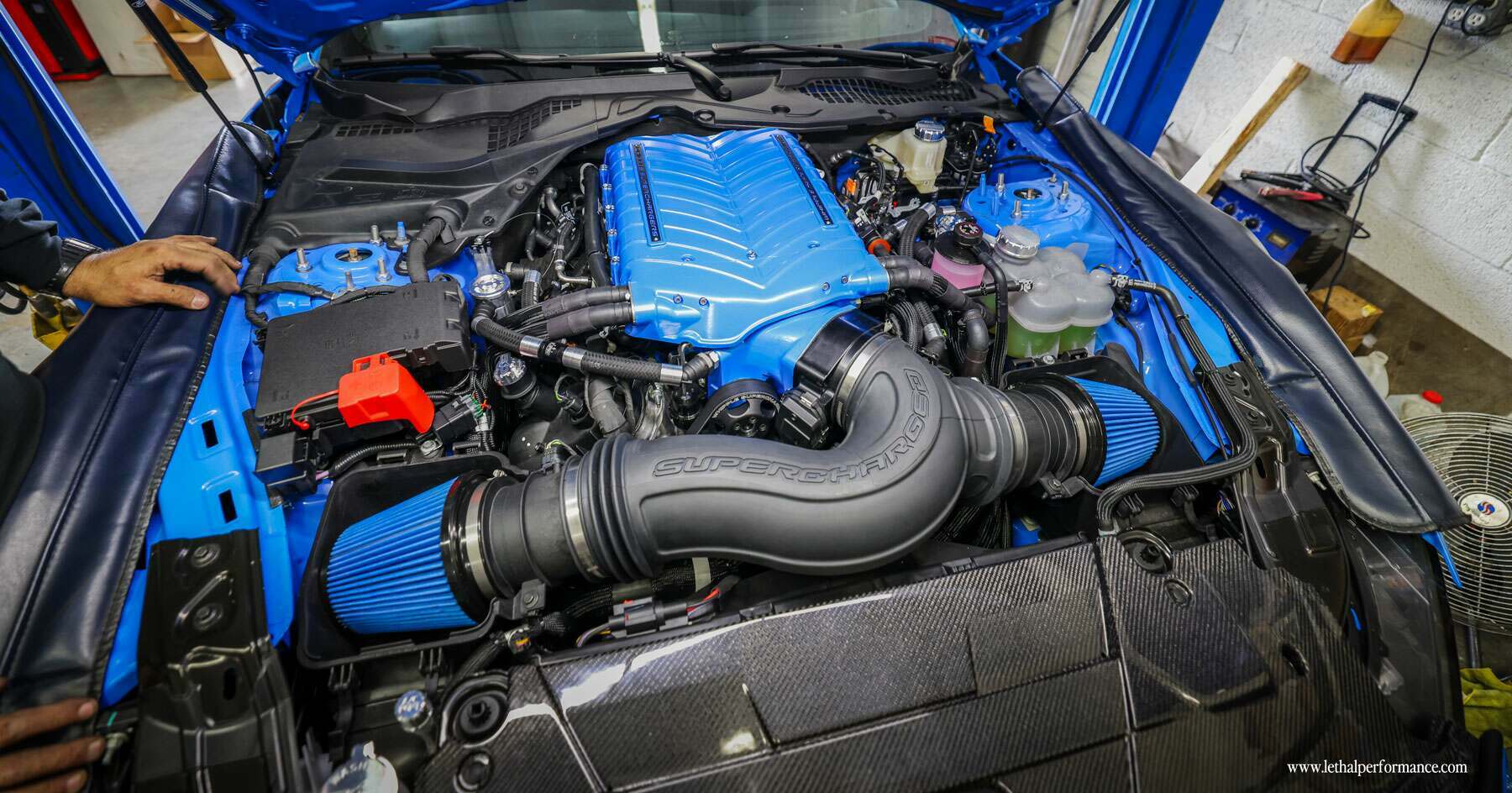 S650 Mustang Anyone powder coat their Ford Performance Whipple Stage 1? 2024whippleinstalled