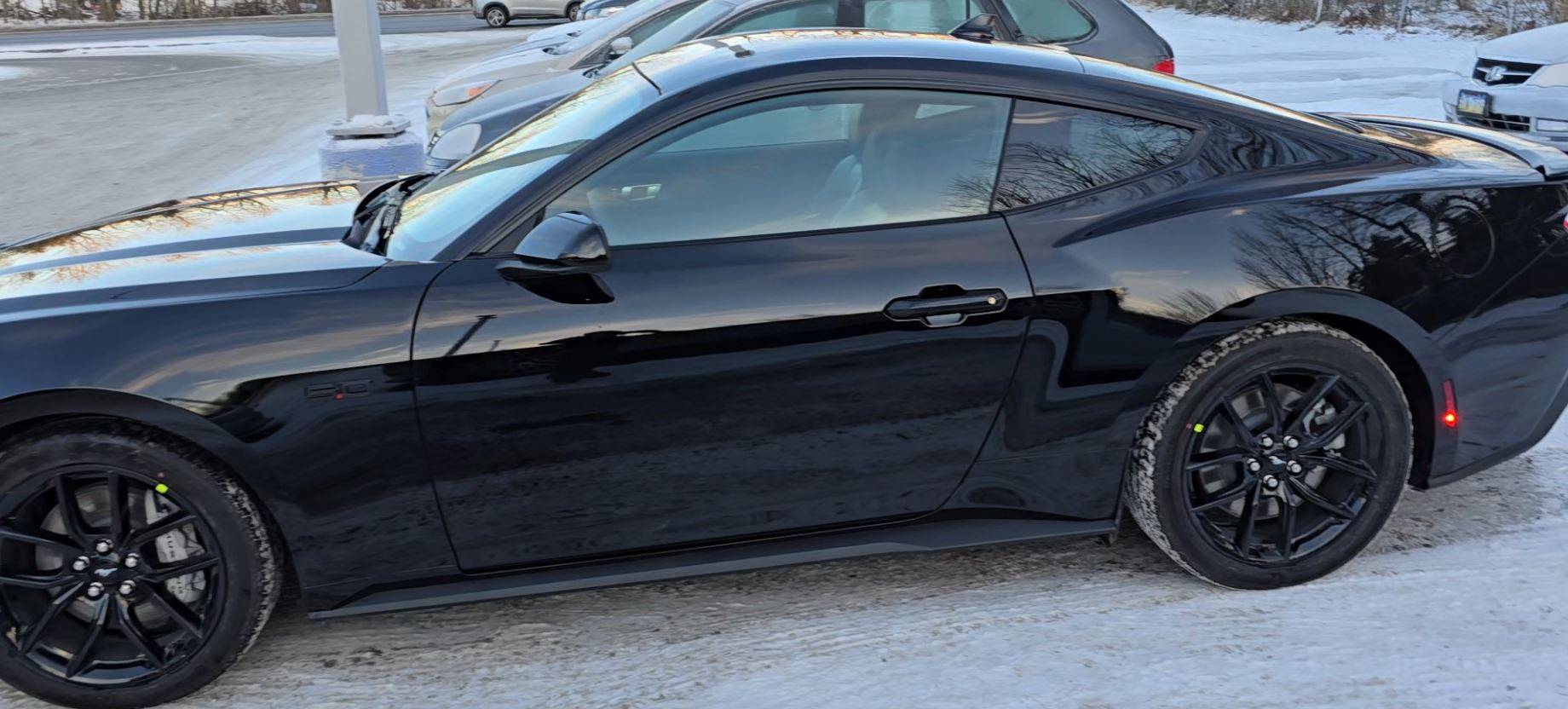 S650 Mustang Question for owners of cars with the Nite Pony pack or the black pack? 2025 Mustang GT Delivery 2-12-25 Side