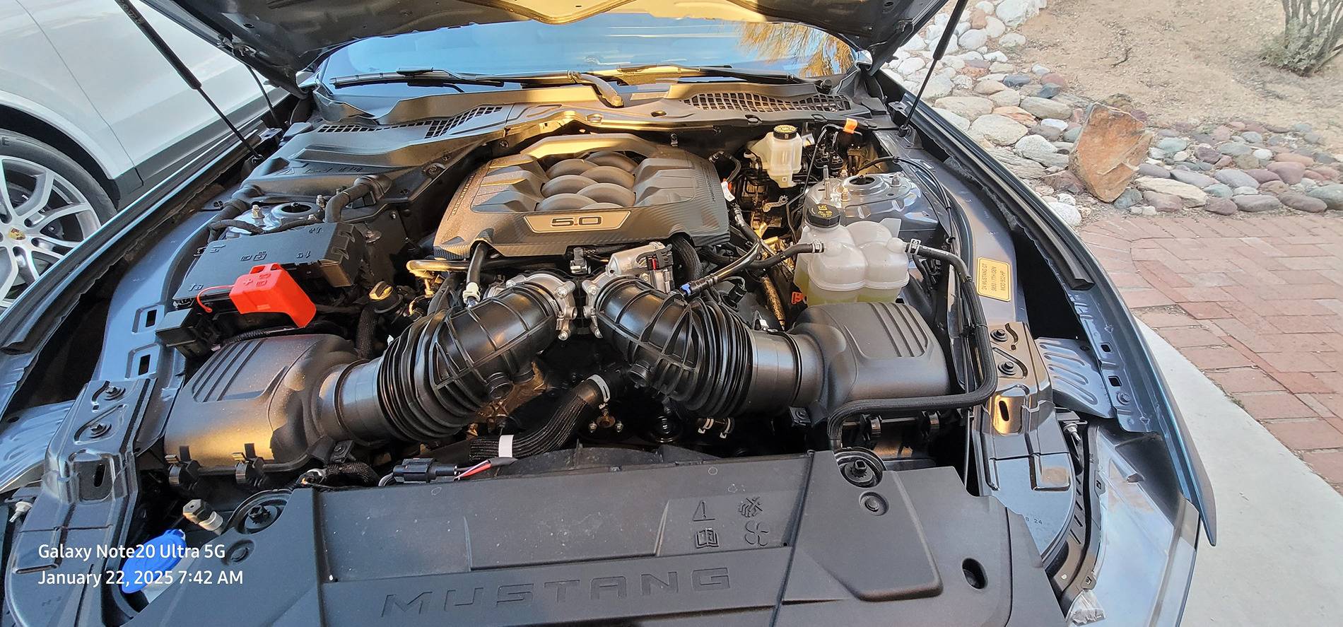 S650 Mustang 503 HP 20250122_074220