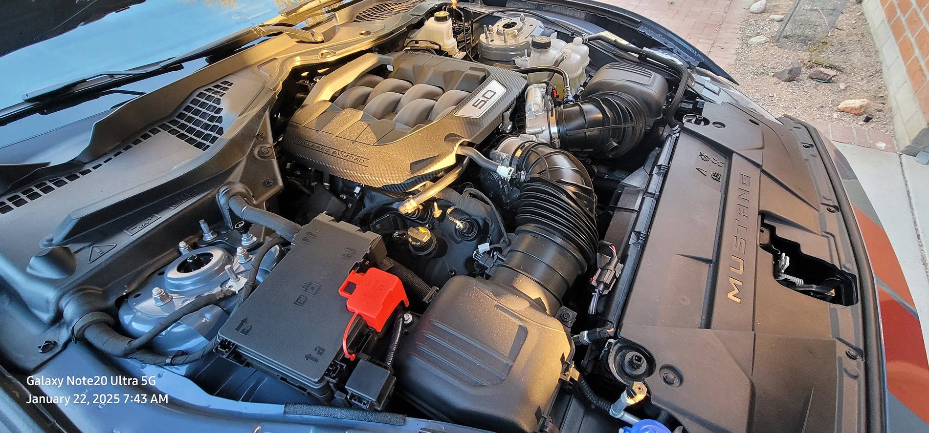 S650 Mustang 503 HP 20250122_074316