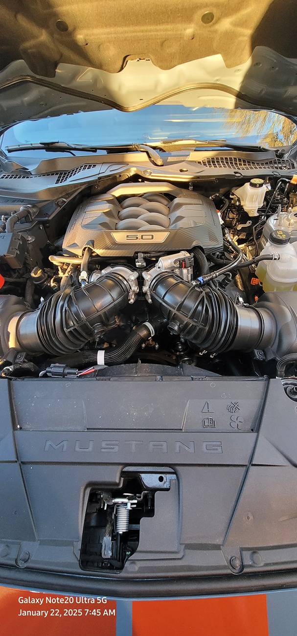 S650 Mustang 503 HP 20250122_074509