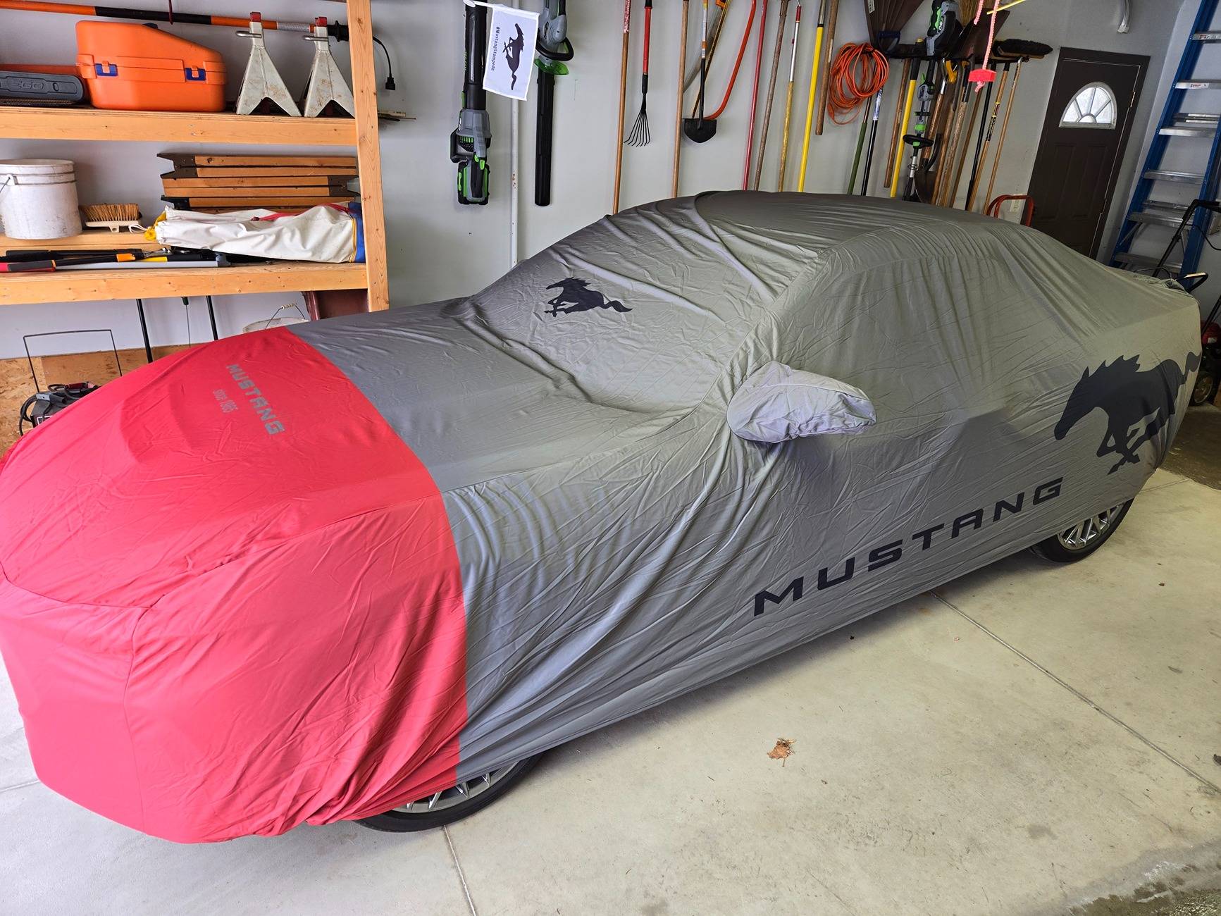 S650 Mustang Shhhhh. She's sleeping. Mustang car cover 20250125_100304