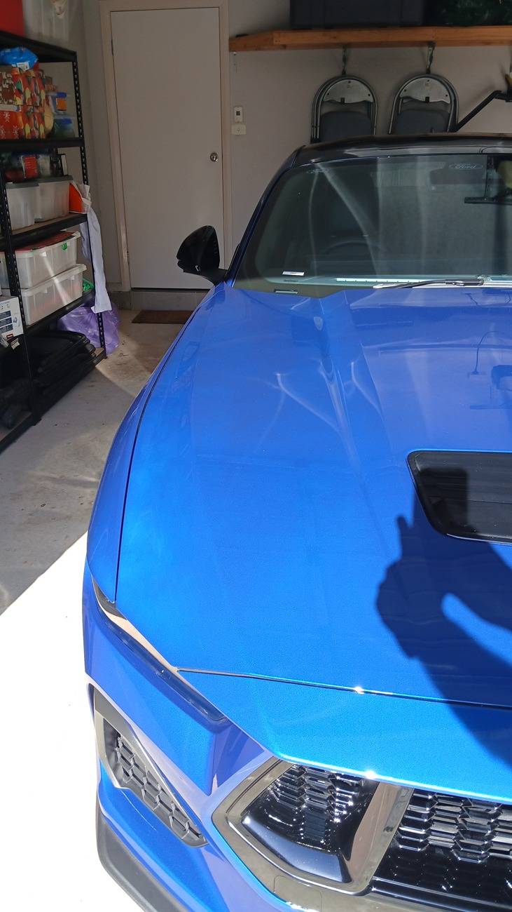 S650 Mustang Aussie S650 Paint protection and detailing thread 20250212_174200