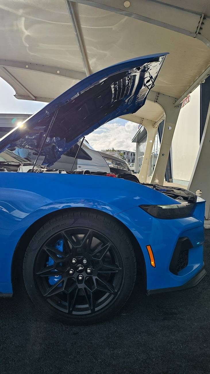 S650 Mustang Chefchaouen GT Project (10R80, 401A, PP, AE, NPP, MR, Recaro) 20250219_081757