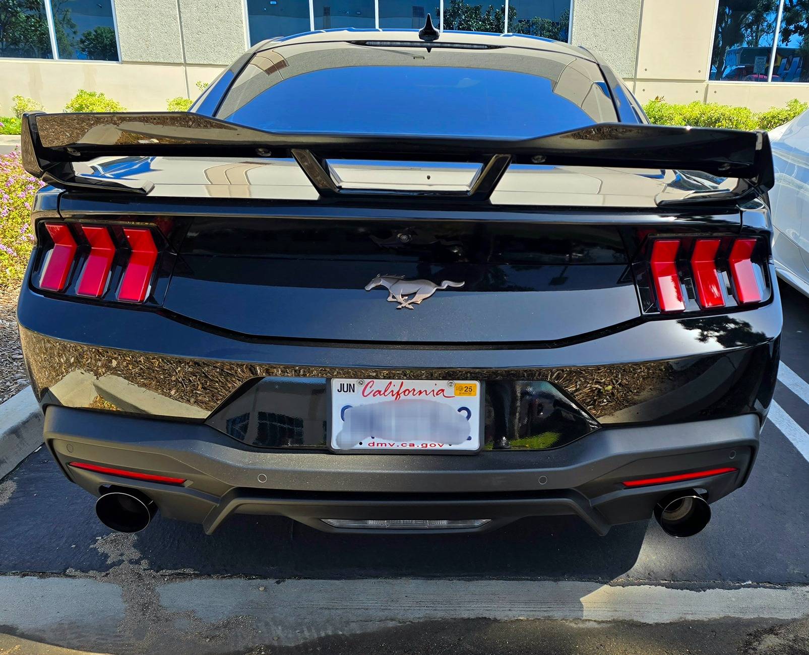 S650 Mustang Viking's Black EcoBeast Build 20250304_124214