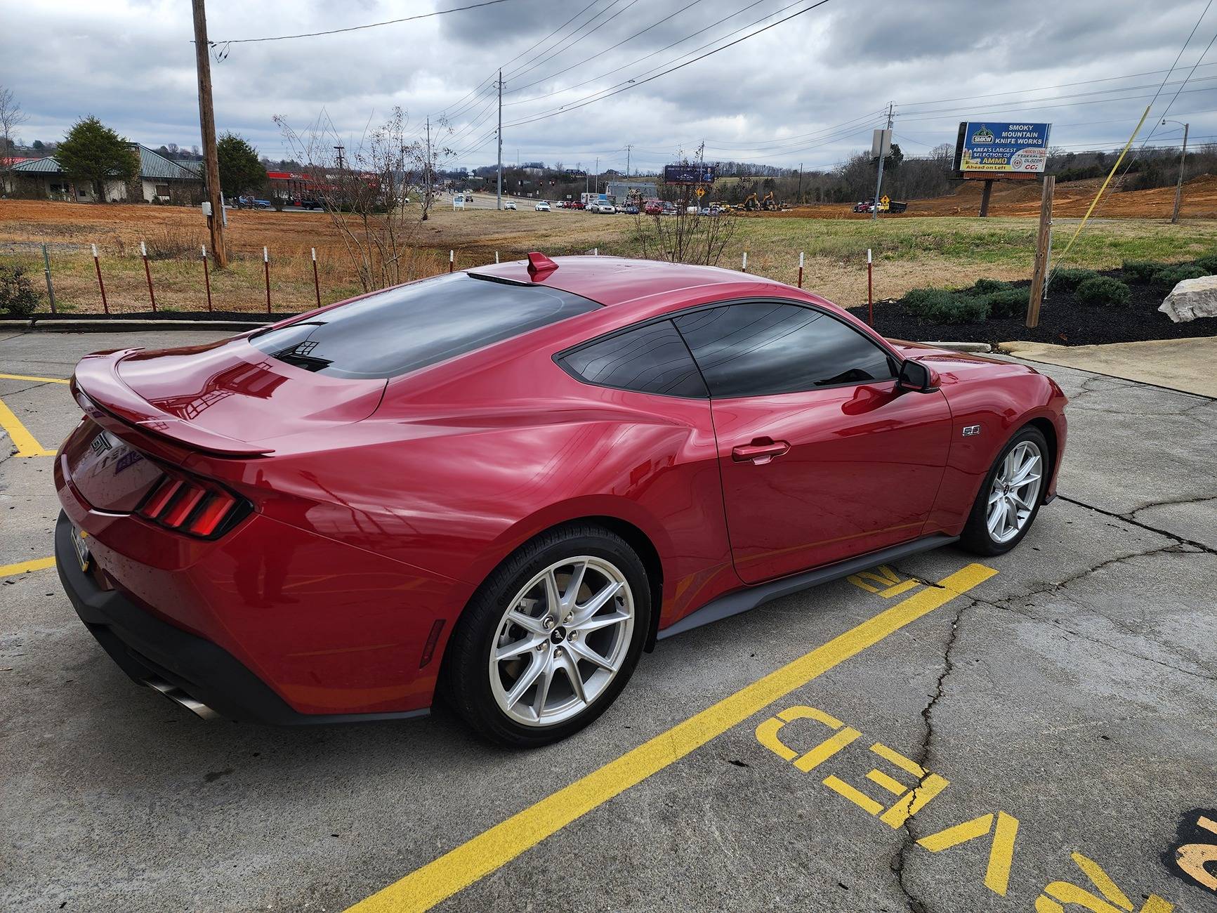 S650 Mustang How dark do you tint your Mustangs? 20250306_111604
