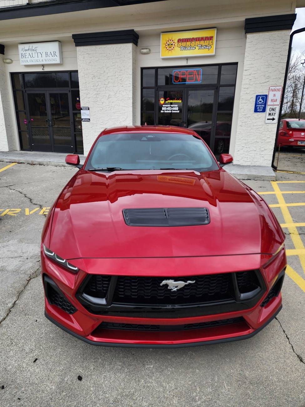 S650 Mustang How dark do you tint your Mustangs? 20250306_111616