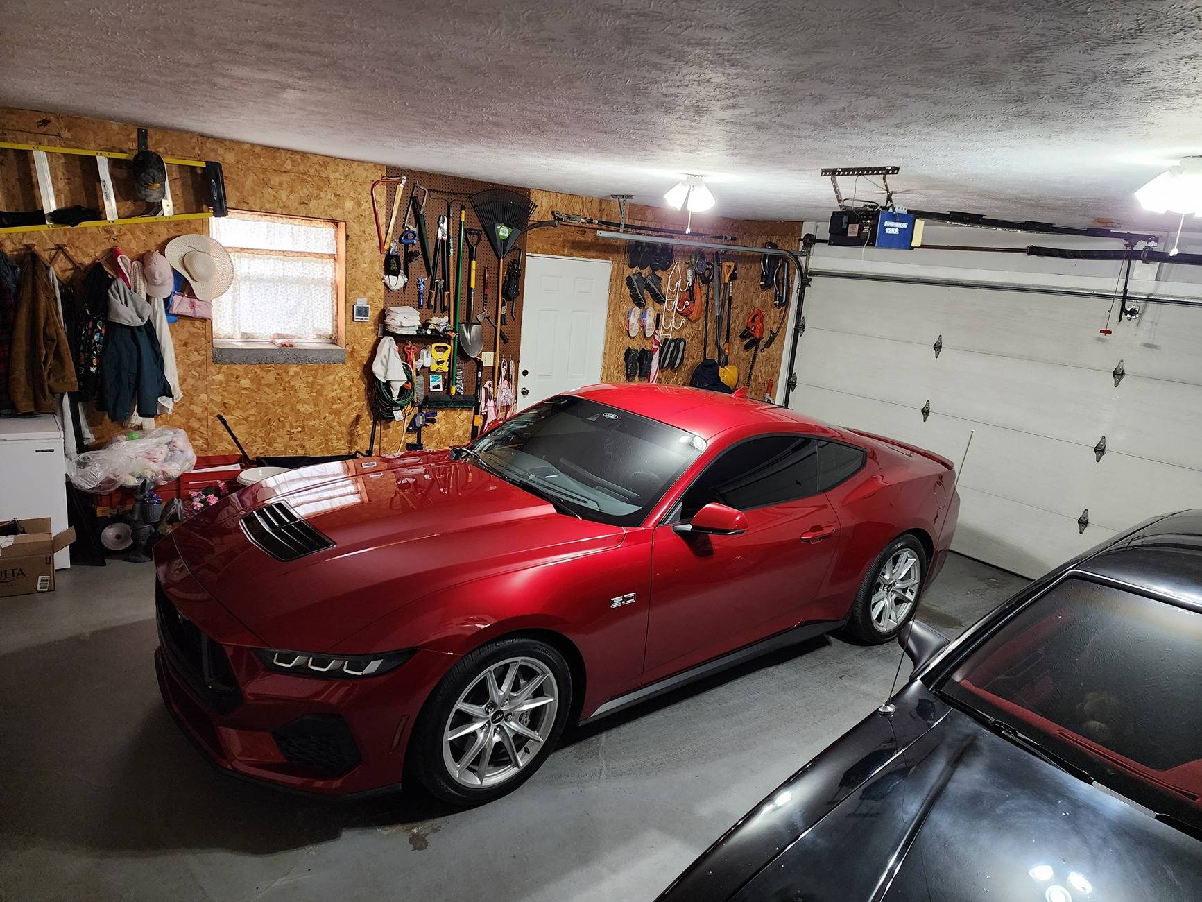S650 Mustang Disabling the auto window scroll down so i can tint windows 20250306_133533