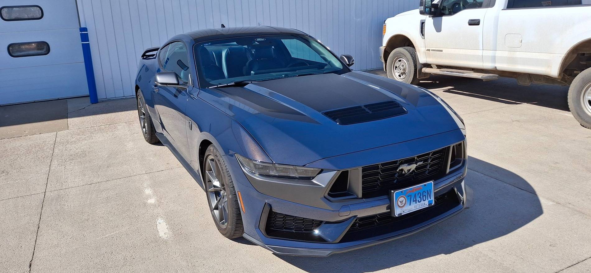 S650 Mustang Fresh detail and ready for spring 2025! 20250310_135655
