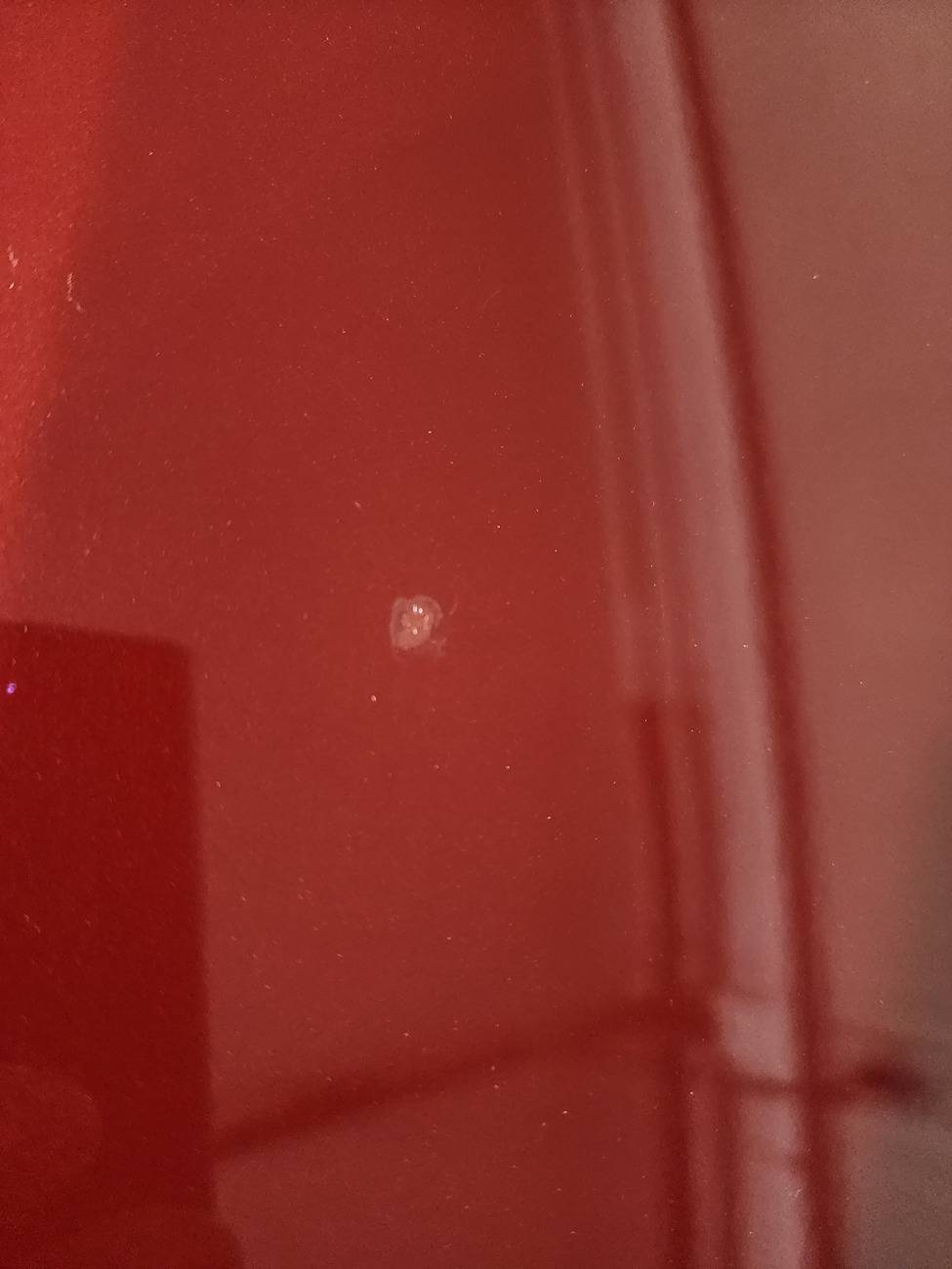 S650 Mustang Paint blemish tick ??? 20250311_152501