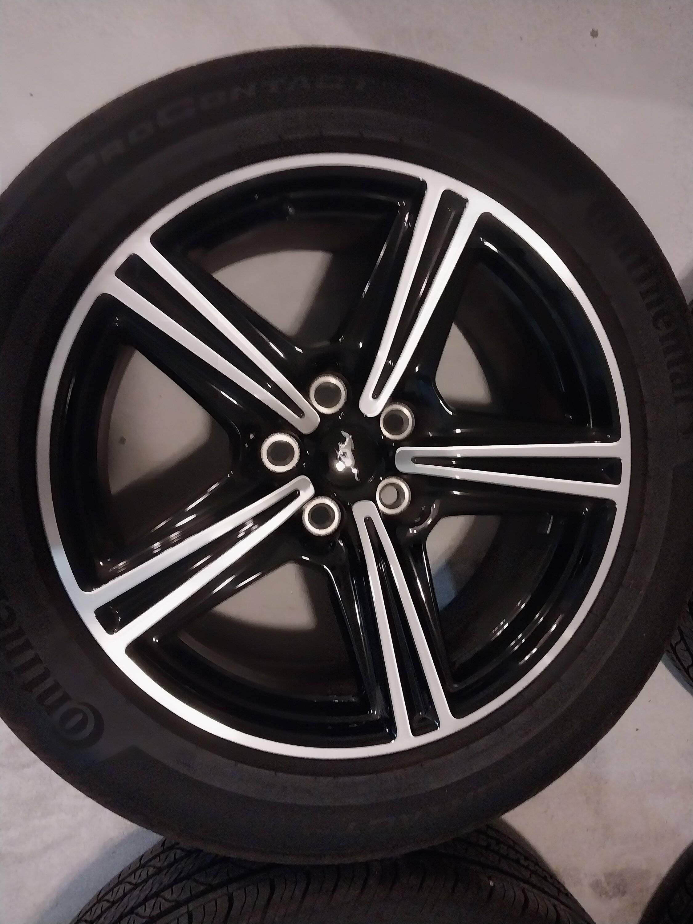 S650 Mustang 2024 Mustang EB 18" Wheels & Tires For Sale 20250323_190742