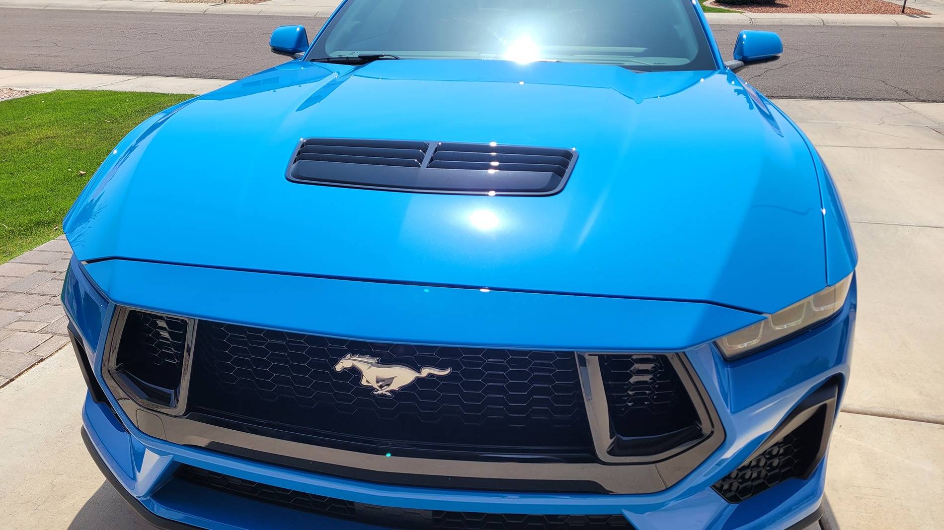 S650 Mustang My twin found me -- 2024 GT Grabber Blue 20250329_121816