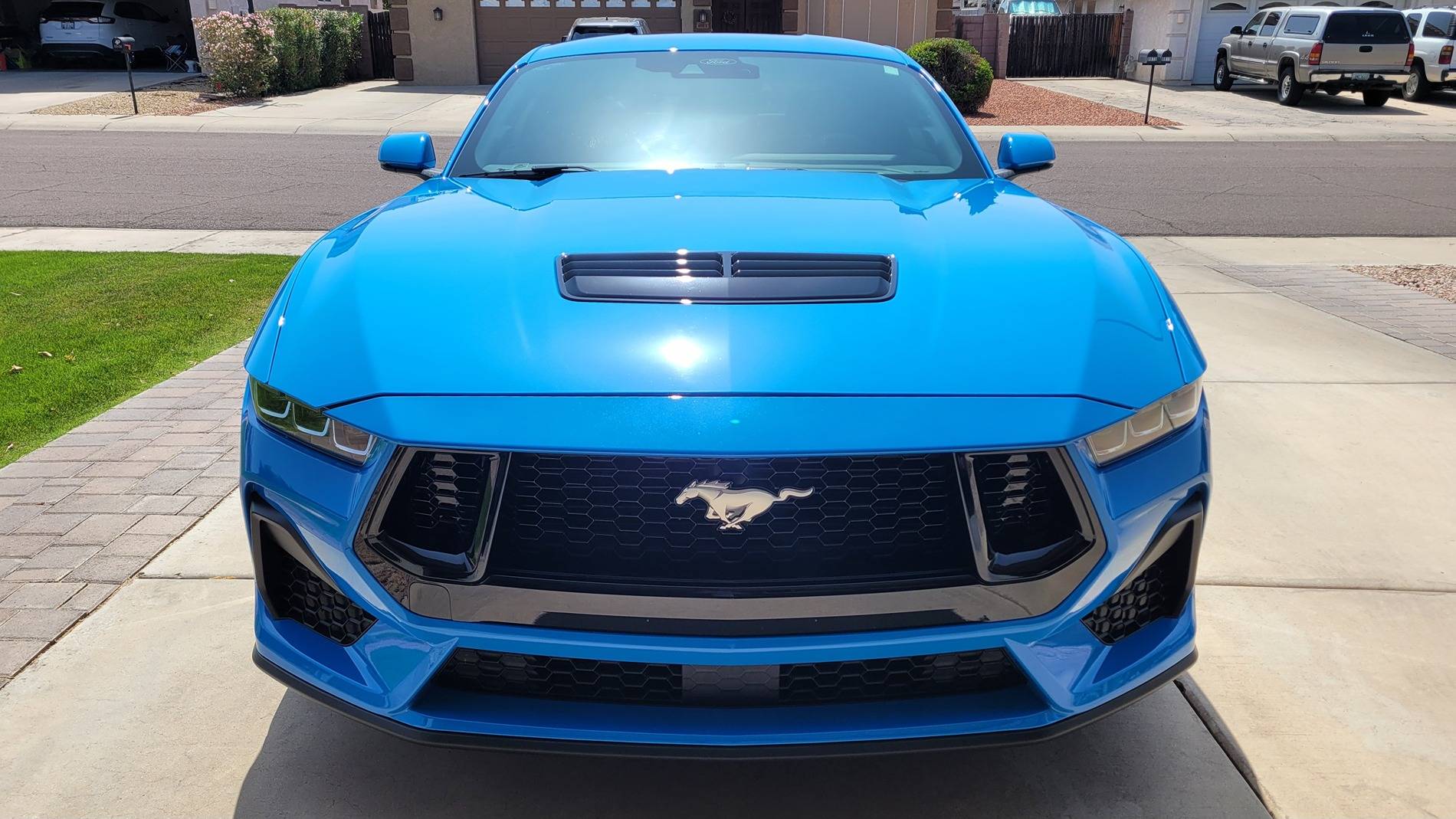 S650 Mustang Official GRABBER BLUE Mustang S650 Thread 20250329_121824