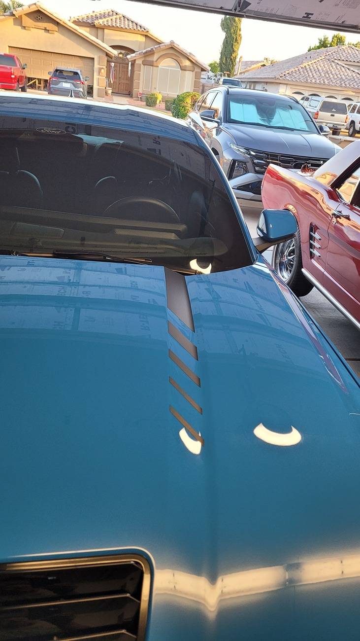 S650 Mustang What do you guys think of these decals 20250507_185312