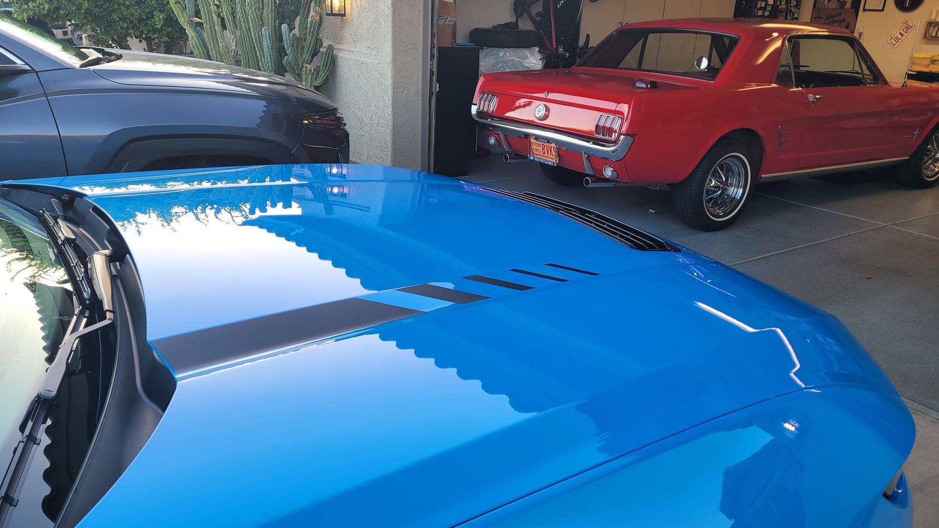 S650 Mustang What do you guys think of these decals 20250507_185859