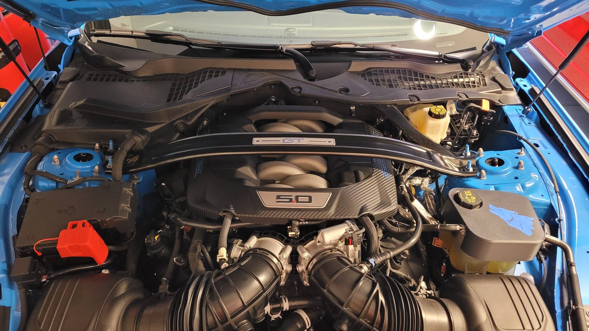 S650 Mustang What did you do to your S650 Mustang today?? 🙋🏻‍♂️ 20250513_192924