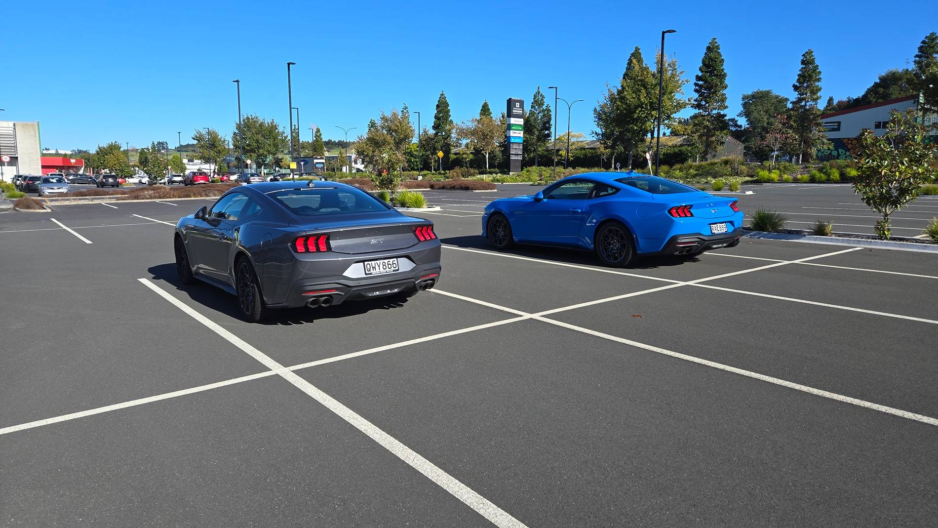 S650 Mustang What are the odds? 20250521_103146