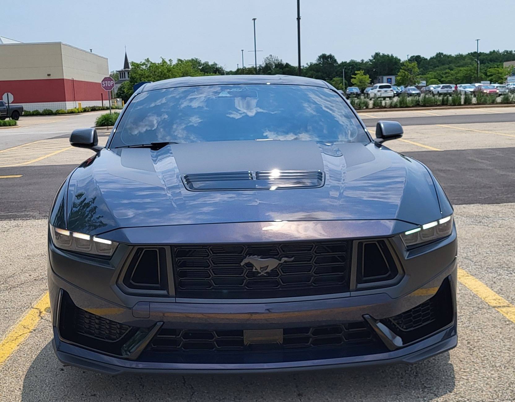 S650 Mustang Blue ember or vapor blue helppppp!!!!!!!! 20250531_122110
