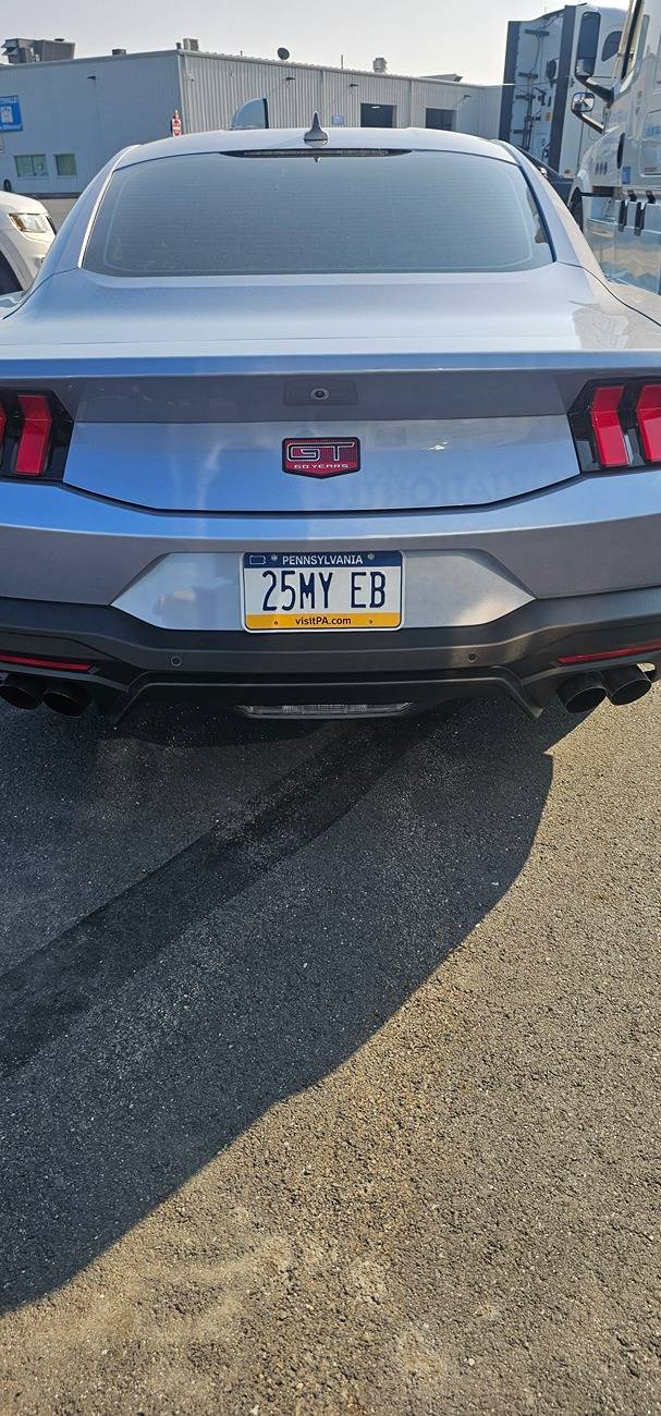 S650 Mustang Trying to choose a license plate. 20250604_180531