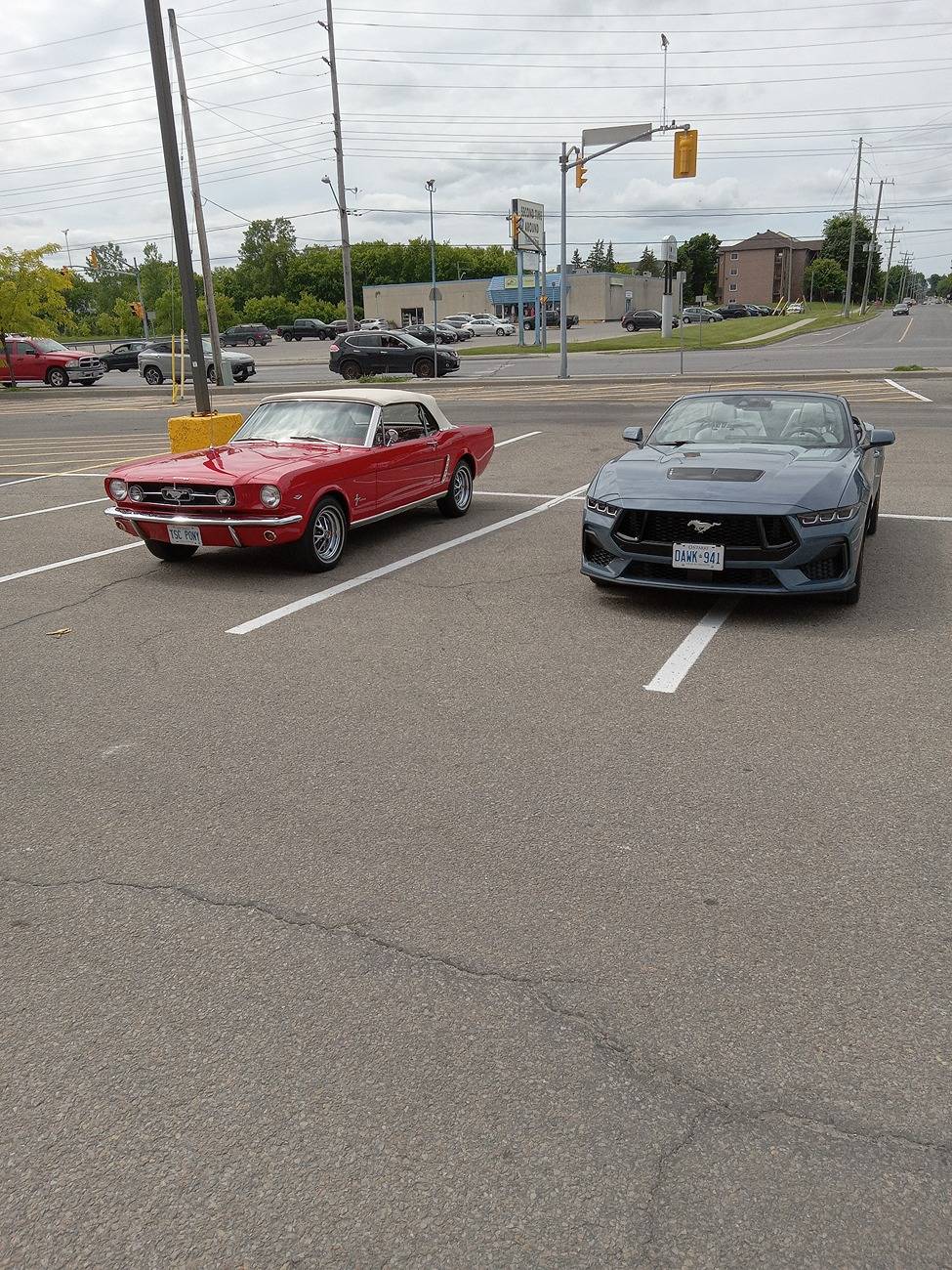 S650 Mustang It’s been a while since other drivers throw compliments to us on our car…..kinda’ nice, you know? 20250613_151543