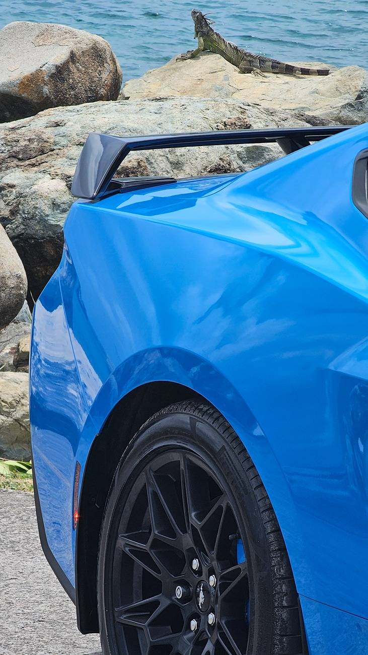 S650 Mustang Cool Daily Random S650 Mustang Pics -- Post Yours! 📸 20250622_110655