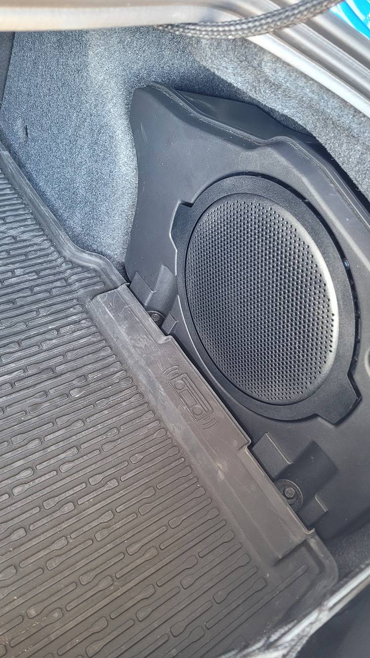 S650 Mustang B&O 10" sub replacement? 20250628_161445