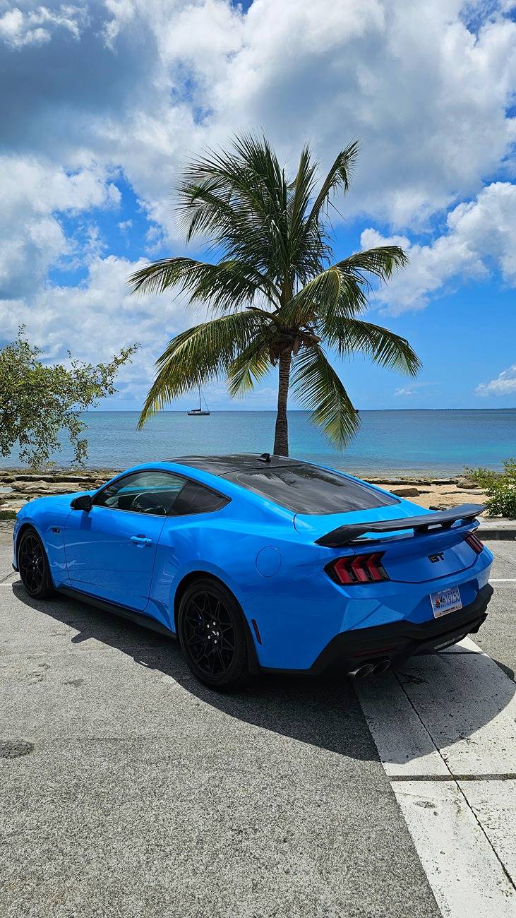 S650 Mustang Which tint? 20250703_133044