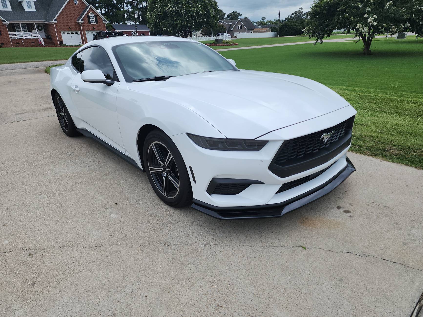 S650 Mustang Cool Daily Random S650 Mustang Pics -- Post Yours! 📸 20250706_153617