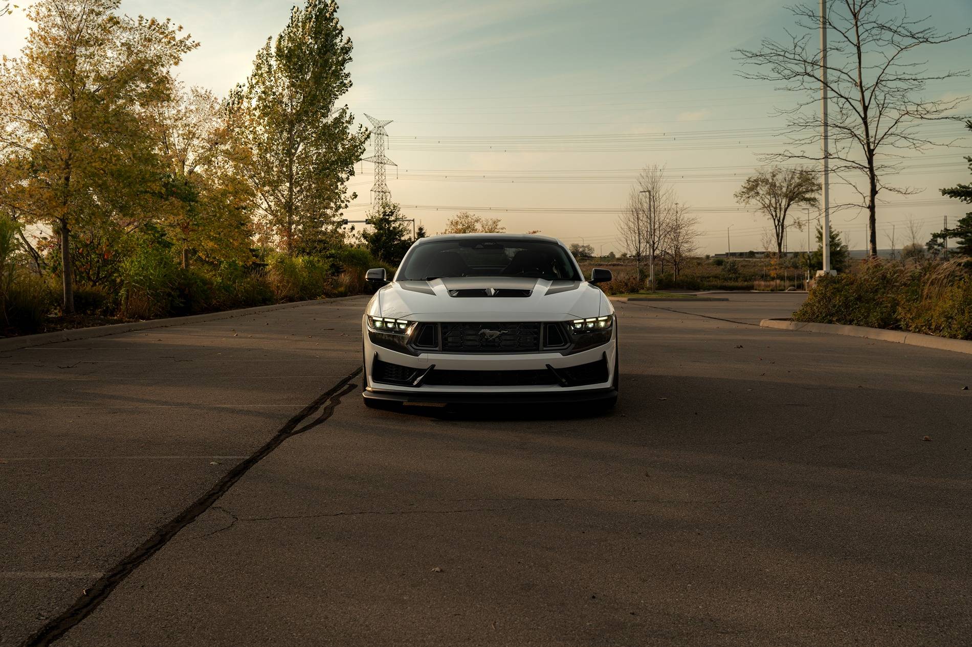 S650 Mustang 2024 Dark Horse Premium "Freyja" (Chassis # 7161) - My Build Journal 22