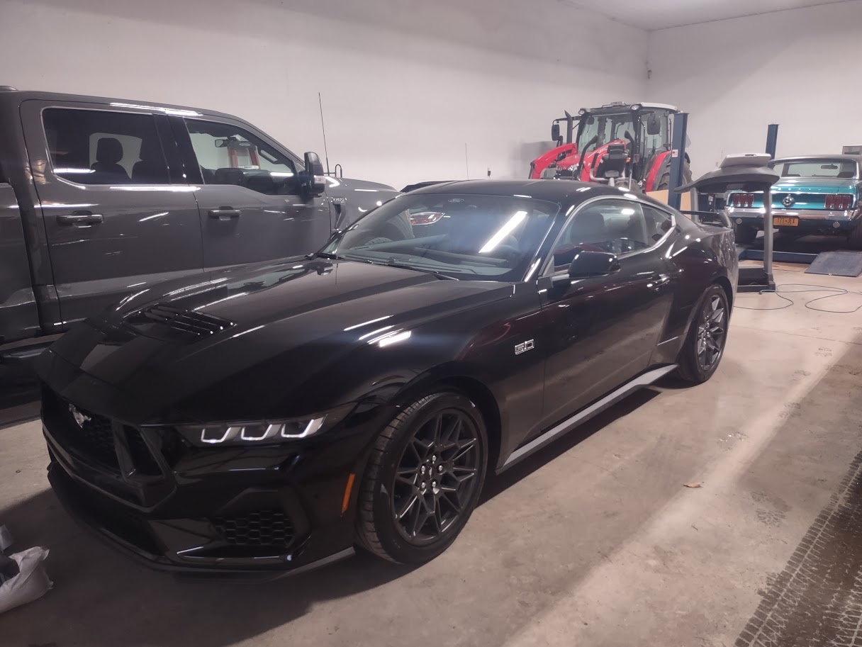 S650 Mustang Cancelled My Order 24