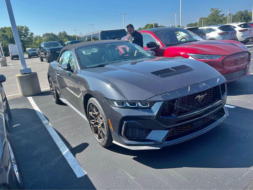 24 mustang.jpg