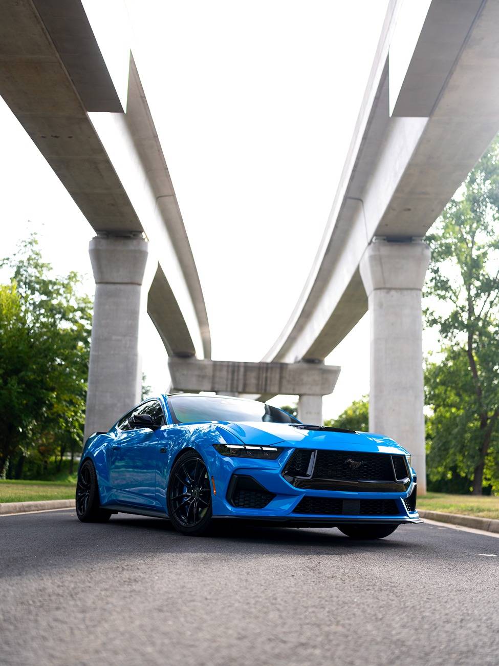 S650 Mustang Official GRABBER BLUE Mustang S650 Thread 240916091559001
