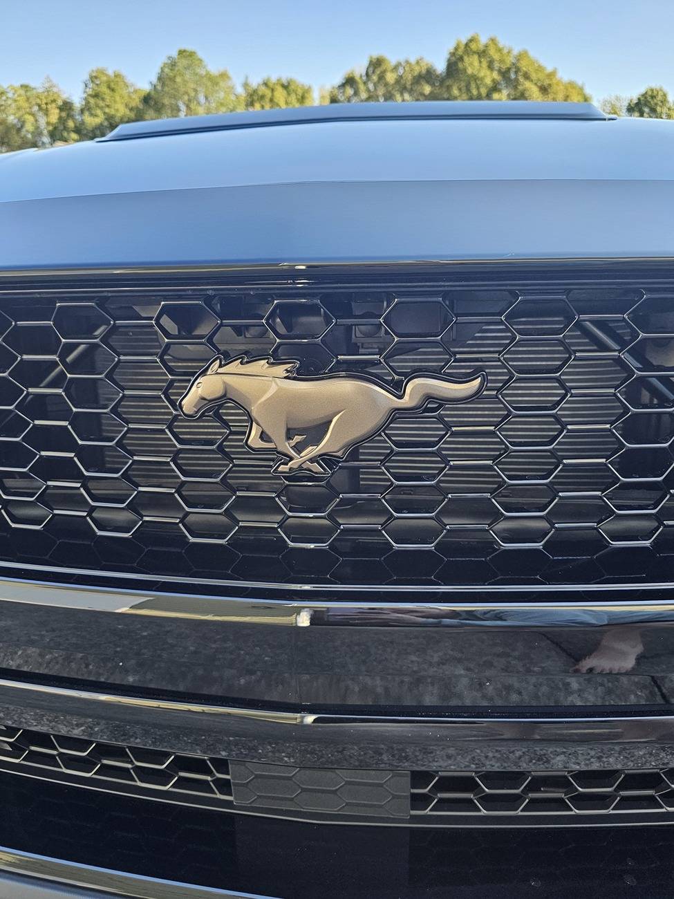 S650 Mustang Back in a Mustang finally 24GT003