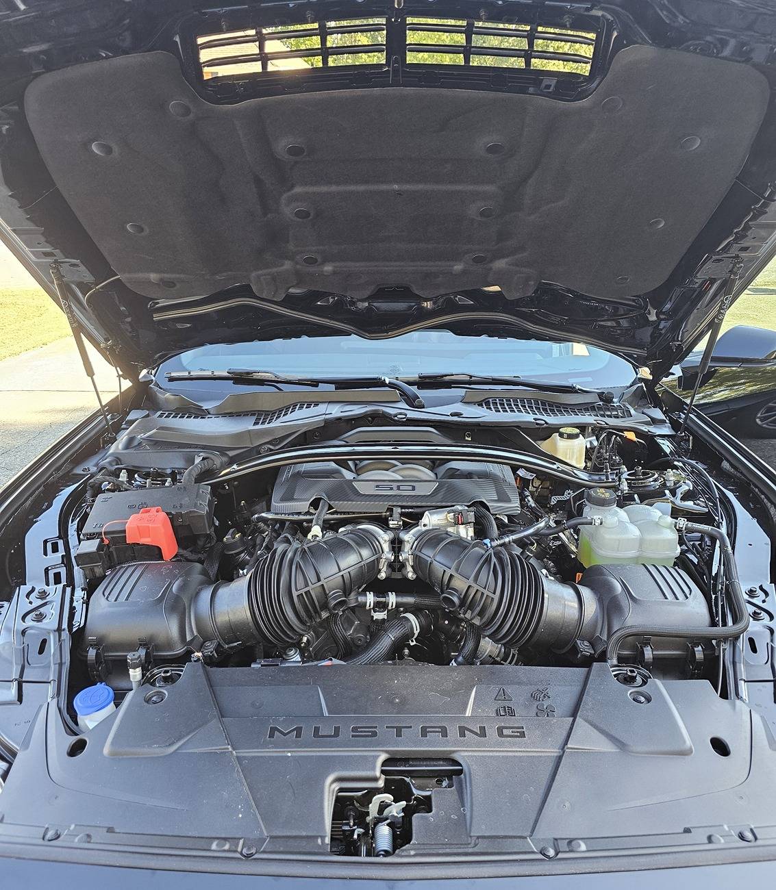 S650 Mustang Back in a Mustang finally 24GT004