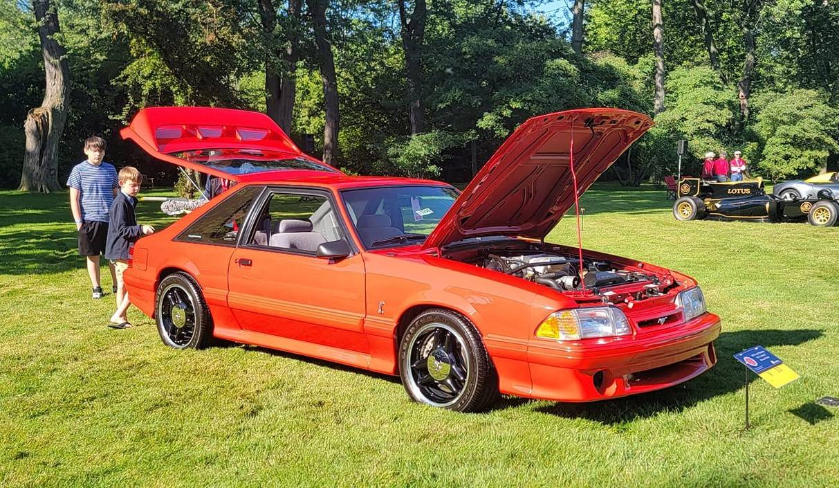 S650 Mustang How many Mustangs have owned? 292354859_5965325556814966_9212488898587950933_n