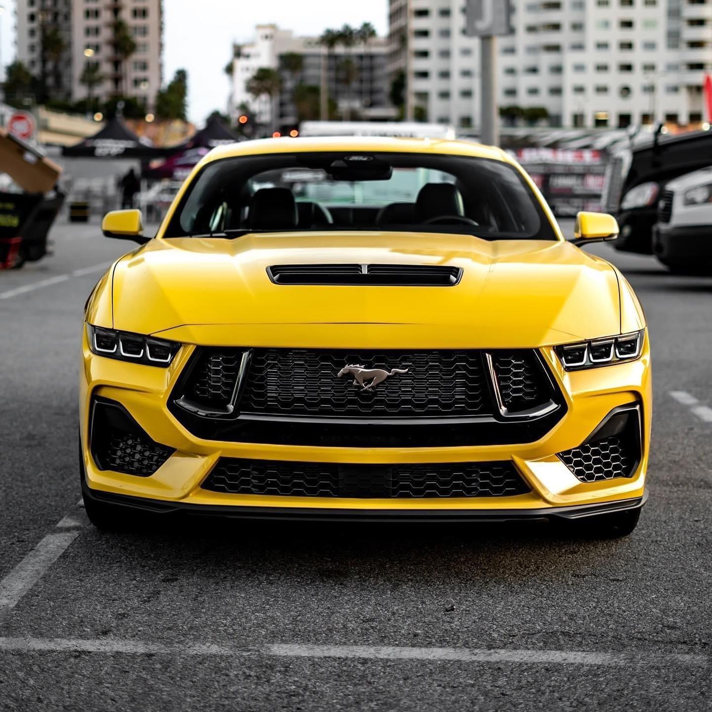 S650 Mustang Official YELLOW SPLASH Mustang S650 Thread 2B907112-276F-4552-8703-6D2064D67F2C