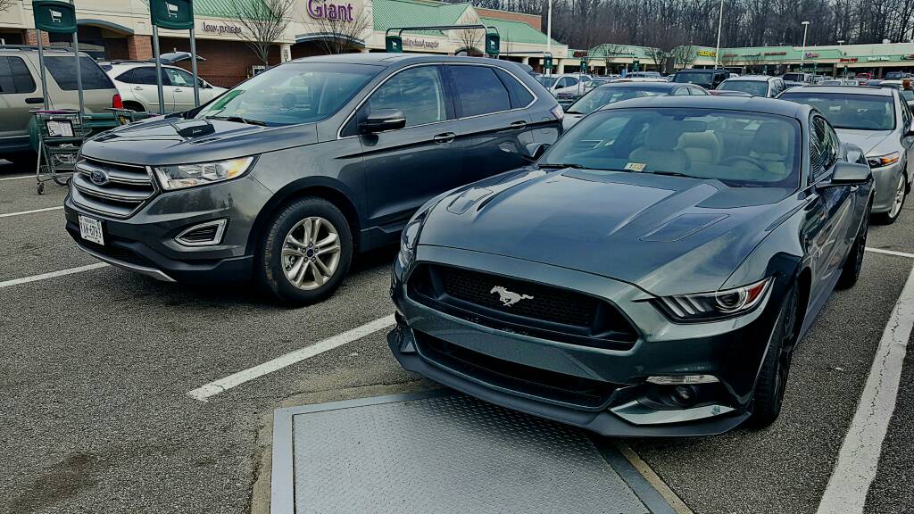 S650 Mustang Post Pictures of Your Car 2c8319c4d7dddddb48c63ffb7bb72f9e