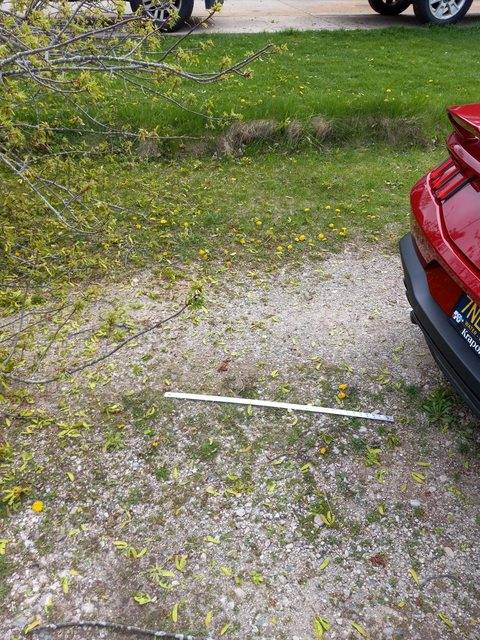 S650 Mustang Death Takes A Swing.........and Misses! 2oPDisPl