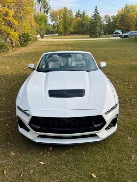 S650 Mustang White Ragtop arrived w/ topdown pics 3