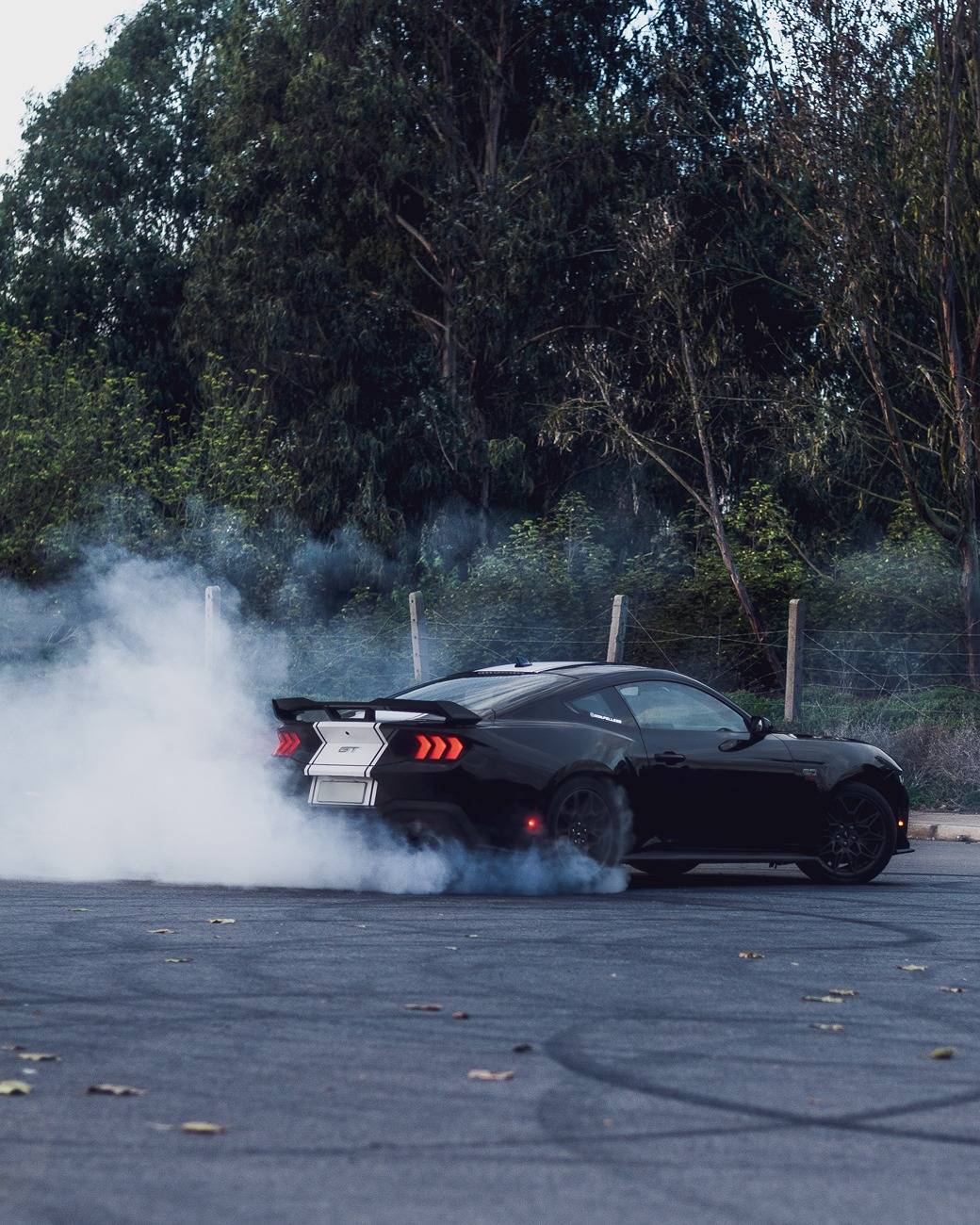 S650 Mustang Cool Daily Random S650 Mustang Pics -- Post Yours! 📸 3.JPG