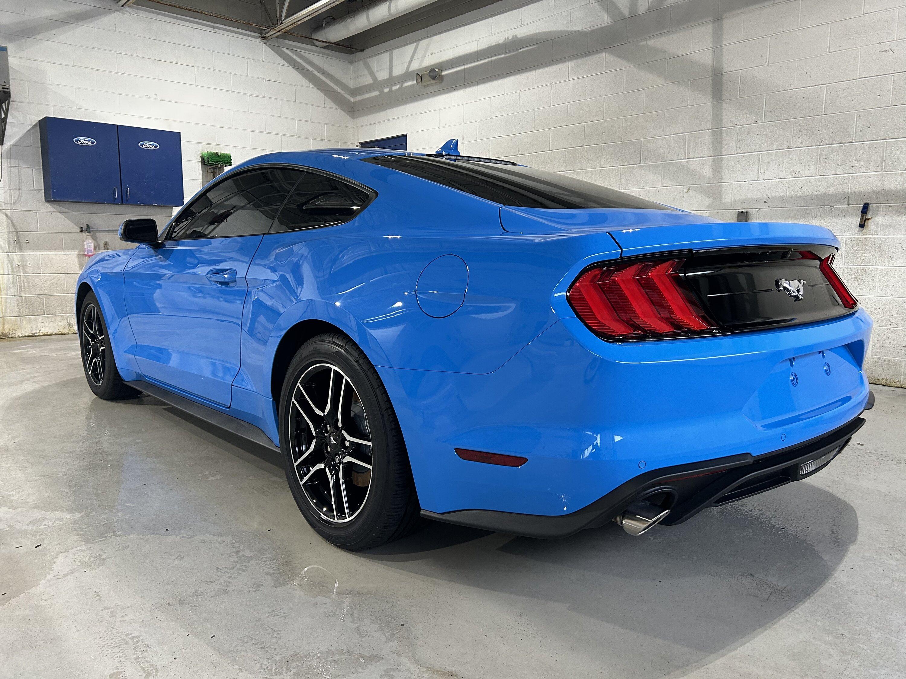 S650 Mustang S650 Mustang vs S550 Mustang side-by-side comparison pics thread 32917631-2598-4E15-9874-F844EB1DE093
